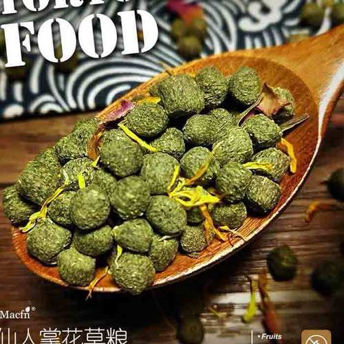仙人掌网络 马祖瑞陆龟粮的水果替代方案与辐射陆龟饲喂指南